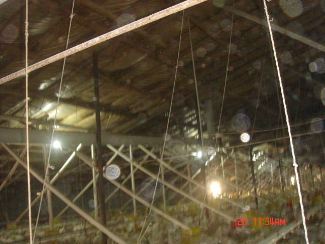 DSC07065.JPG