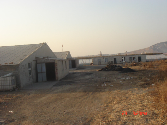 DSC07126.JPG