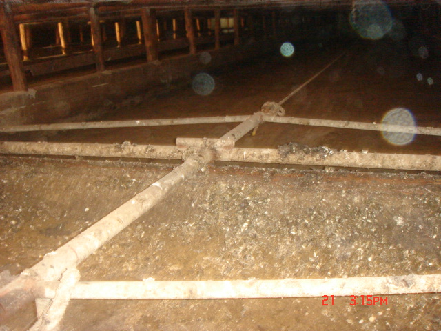 DSC07100.JPG