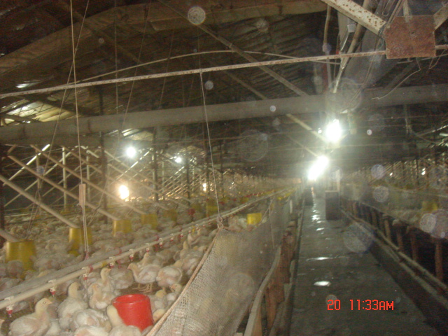 DSC07063.JPG