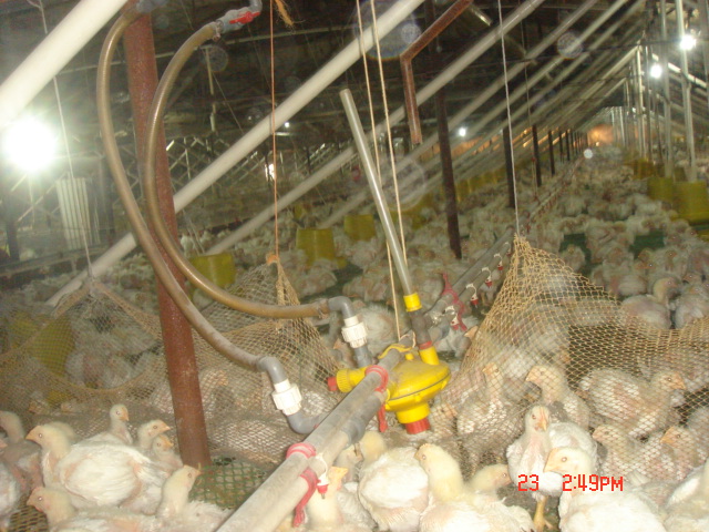 DSC07111.JPG