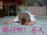 1286325661136.gif