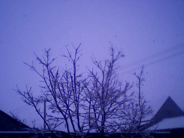 IMG0251A.jpg