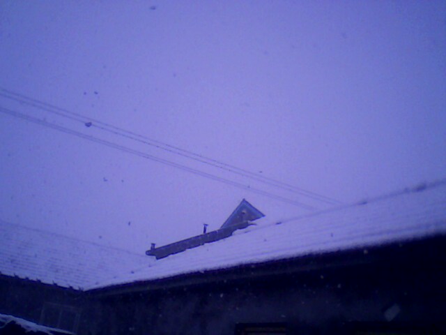 IMG0252A.jpg