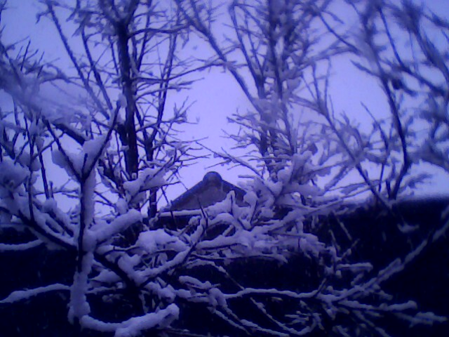 IMG0254A.jpg