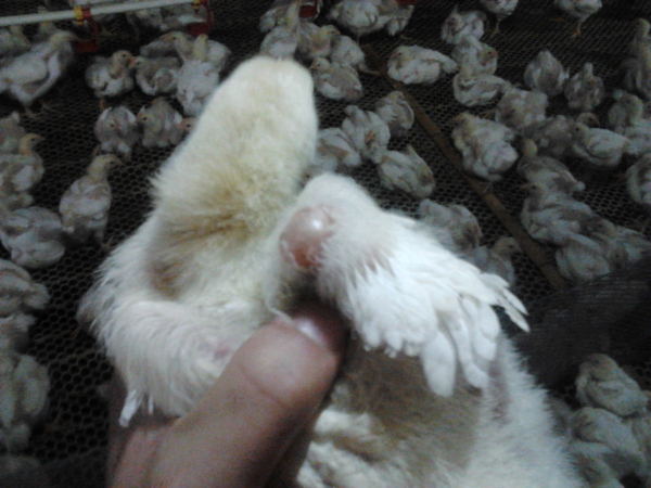 2011-12-10 21.23.15.jpg