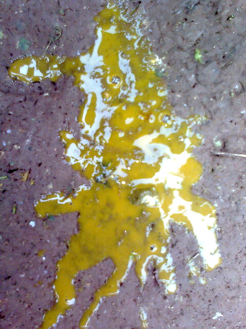 Ƭ0330.jpg