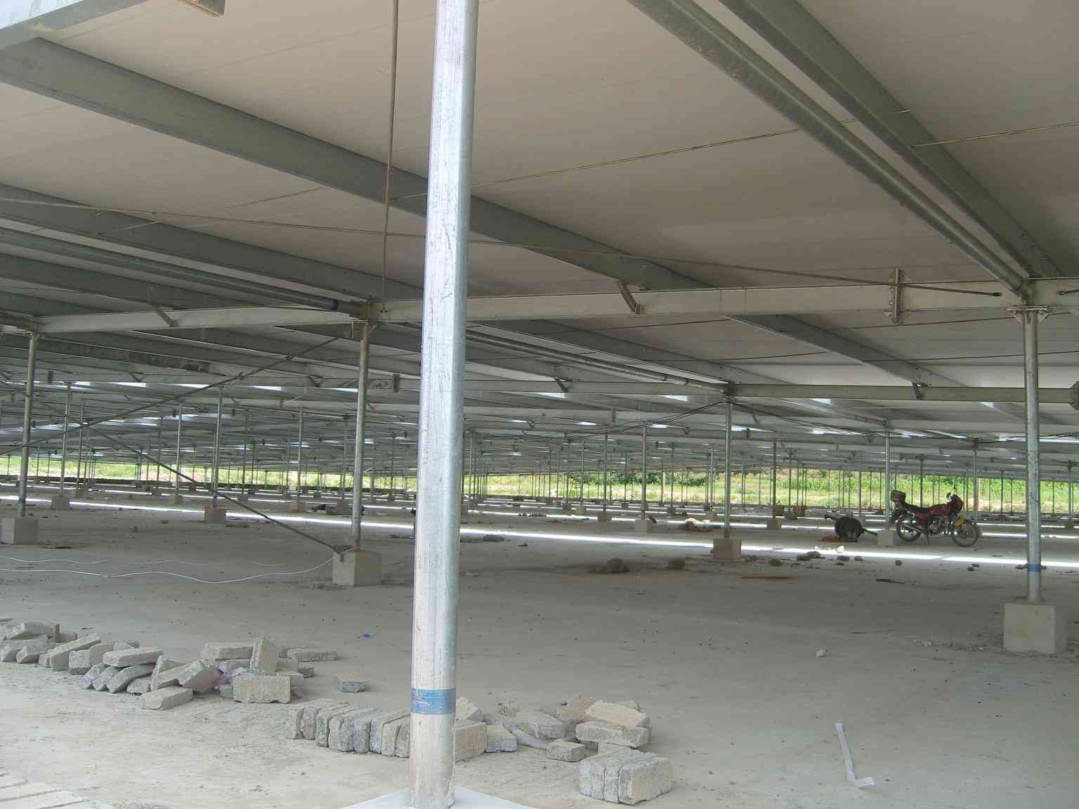 201081811234175.jpg
