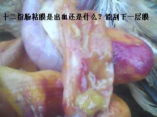 DSC_0000303.jpg