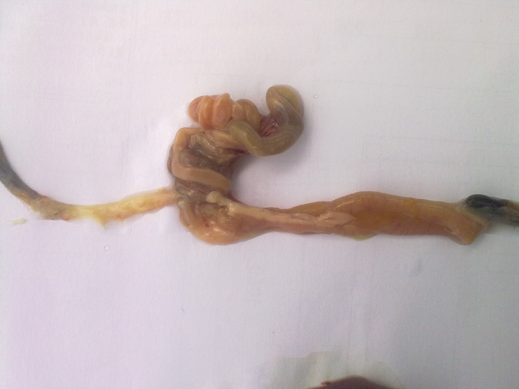 20120101668.jpg