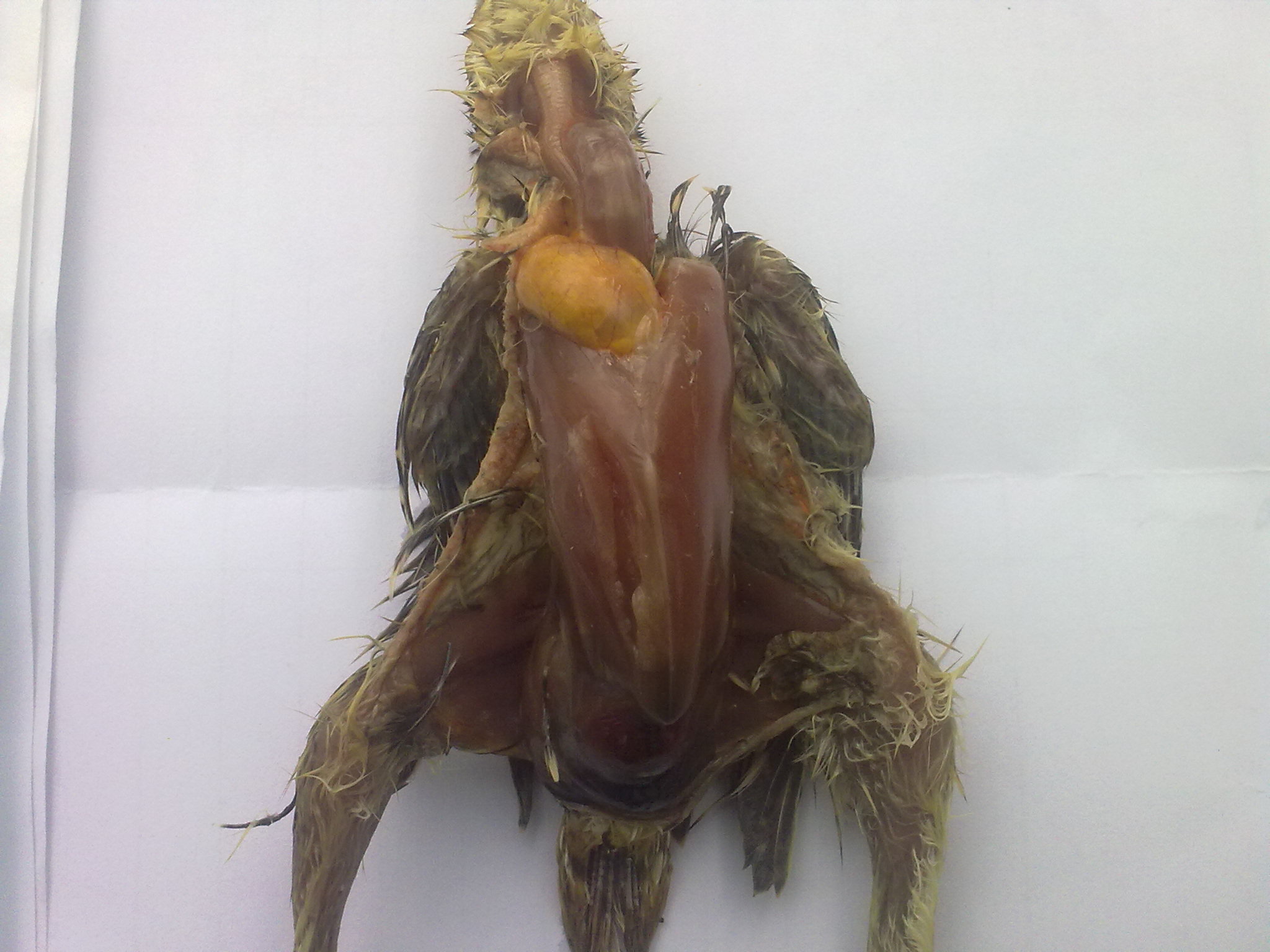 20120101659.jpg