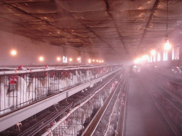 200972210345672.jpg