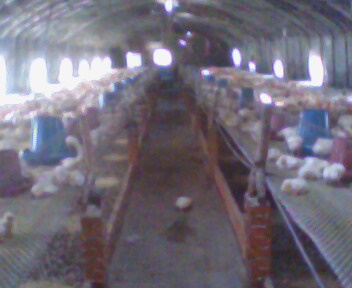 IMG0157A.jpg