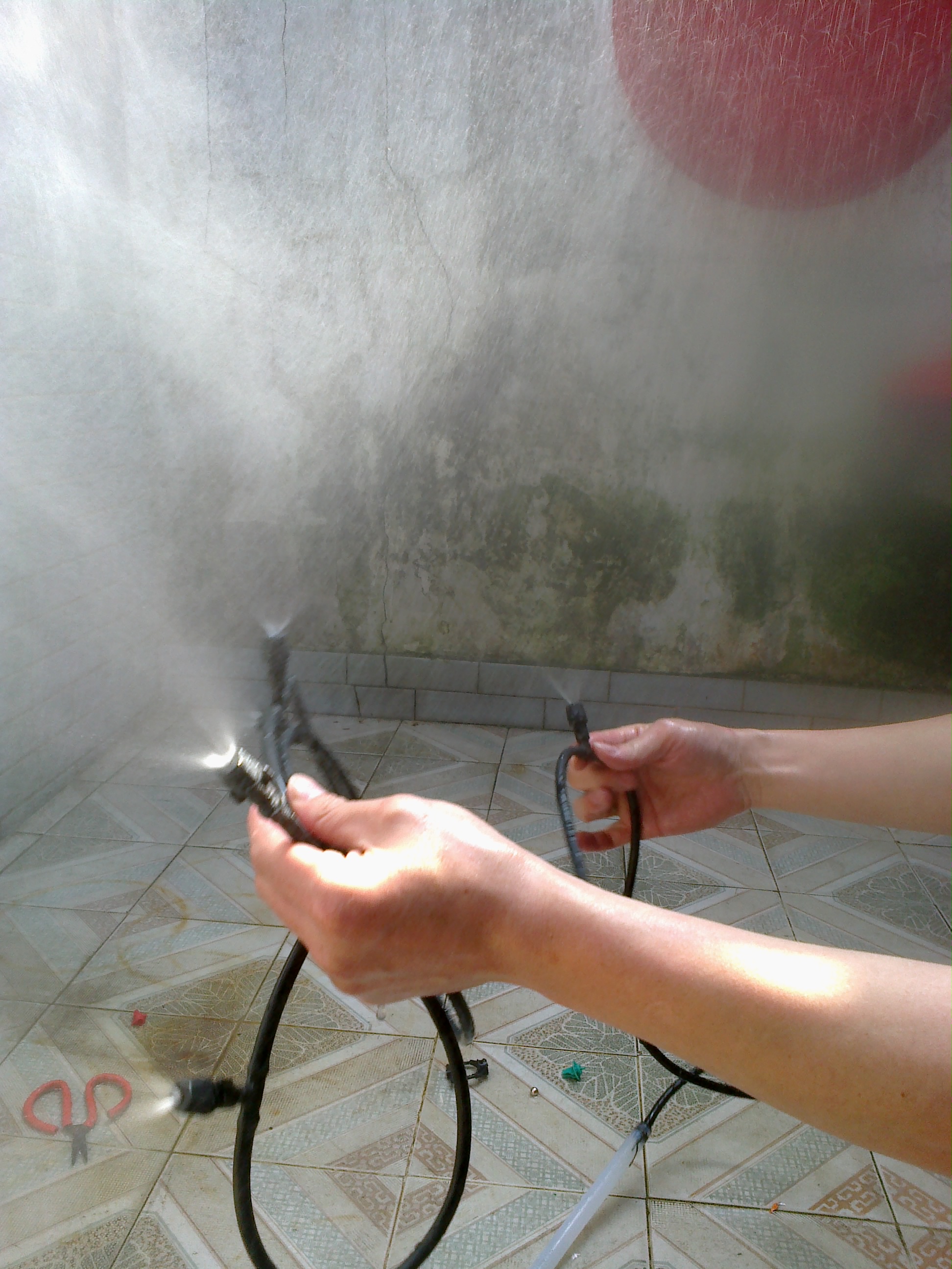 20120205192.jpg