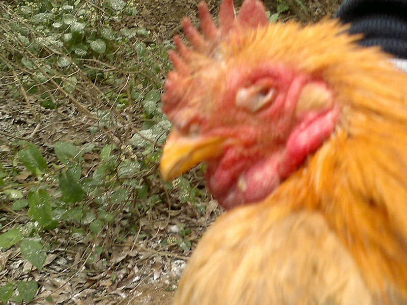 20120205531_.jpg