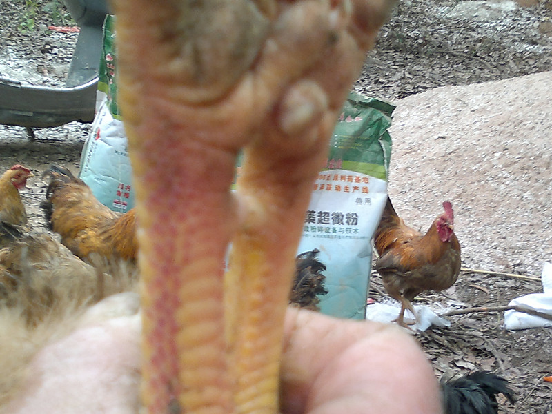 20120205496_.jpg