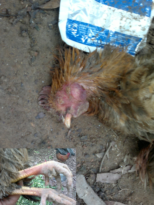 20120205508_.jpg