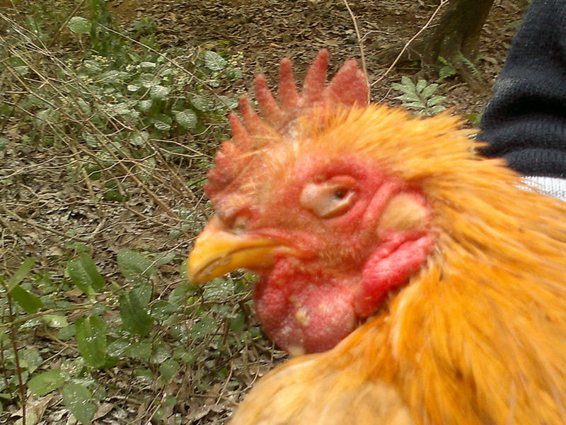 20120205530_.jpg