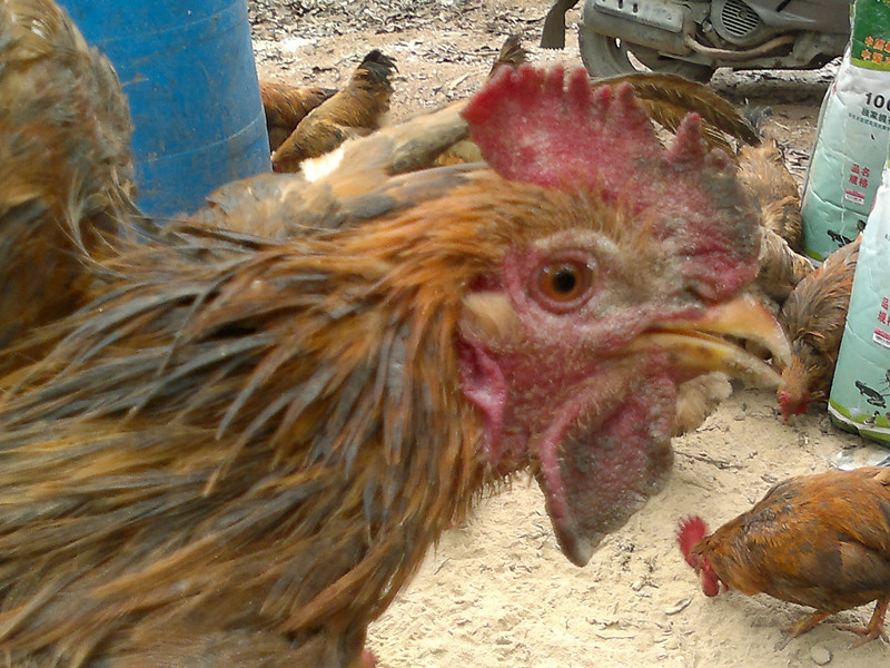 20120205498_.jpg