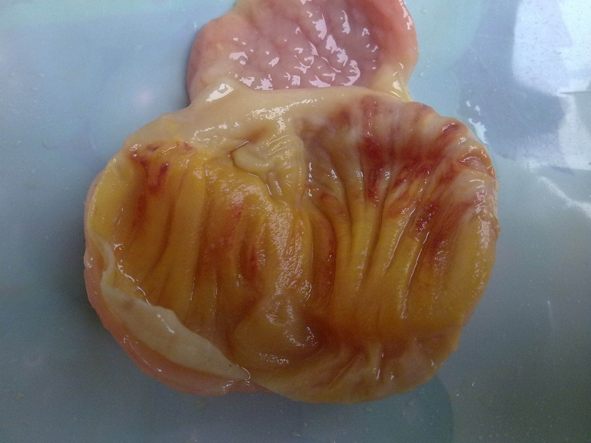 20120217006.jpg