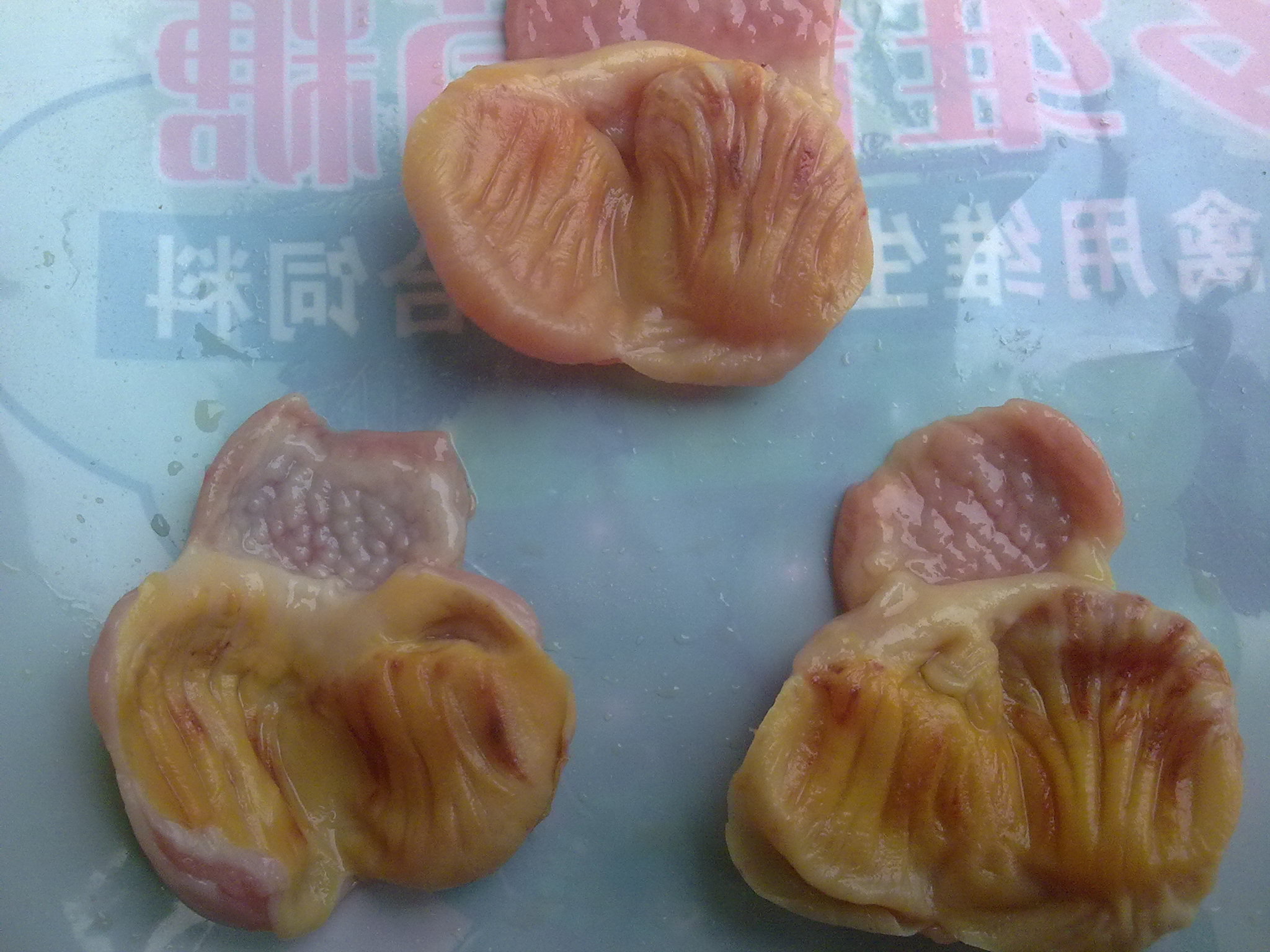 20120217007.jpg