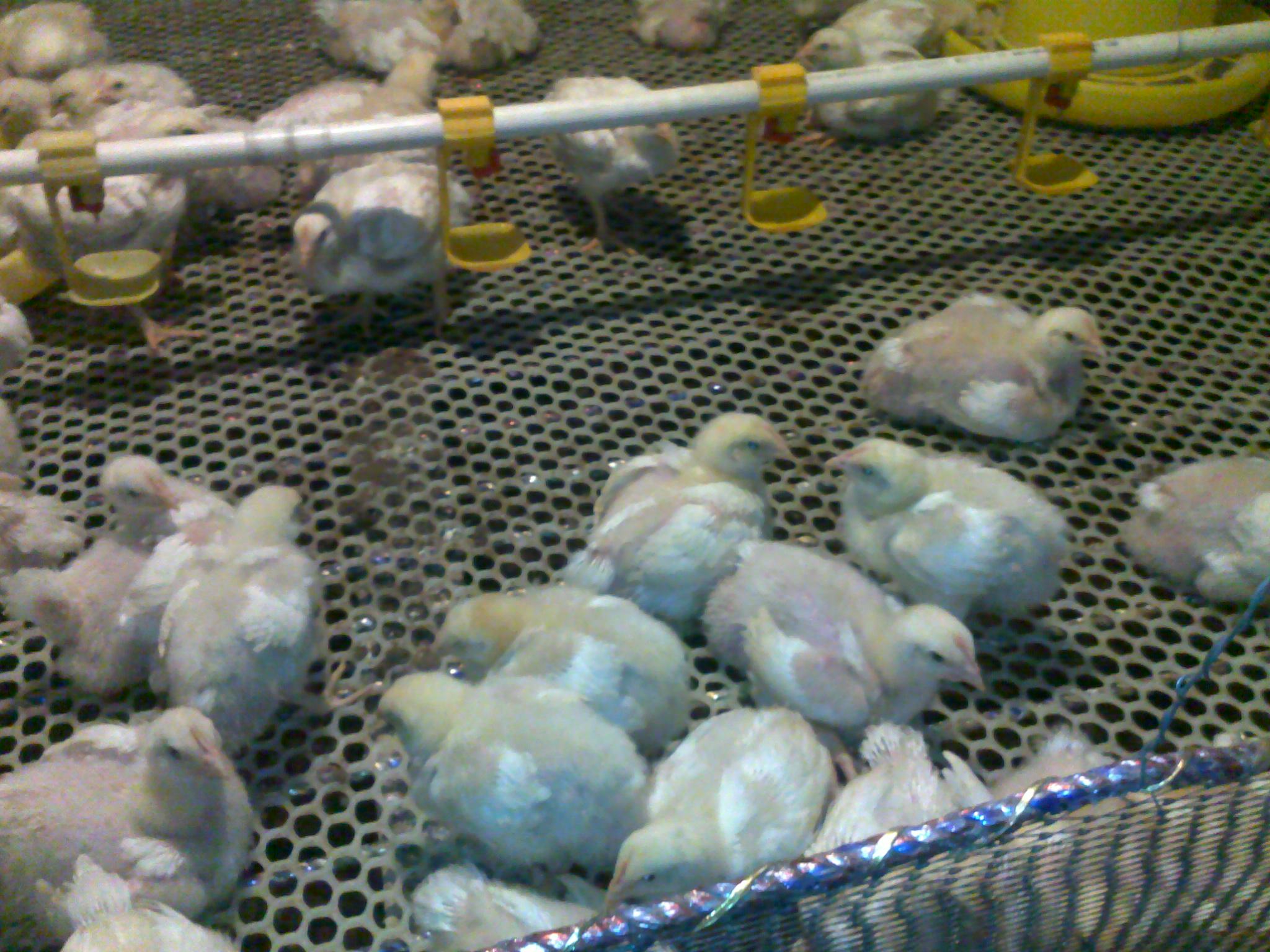 20120218105.jpg