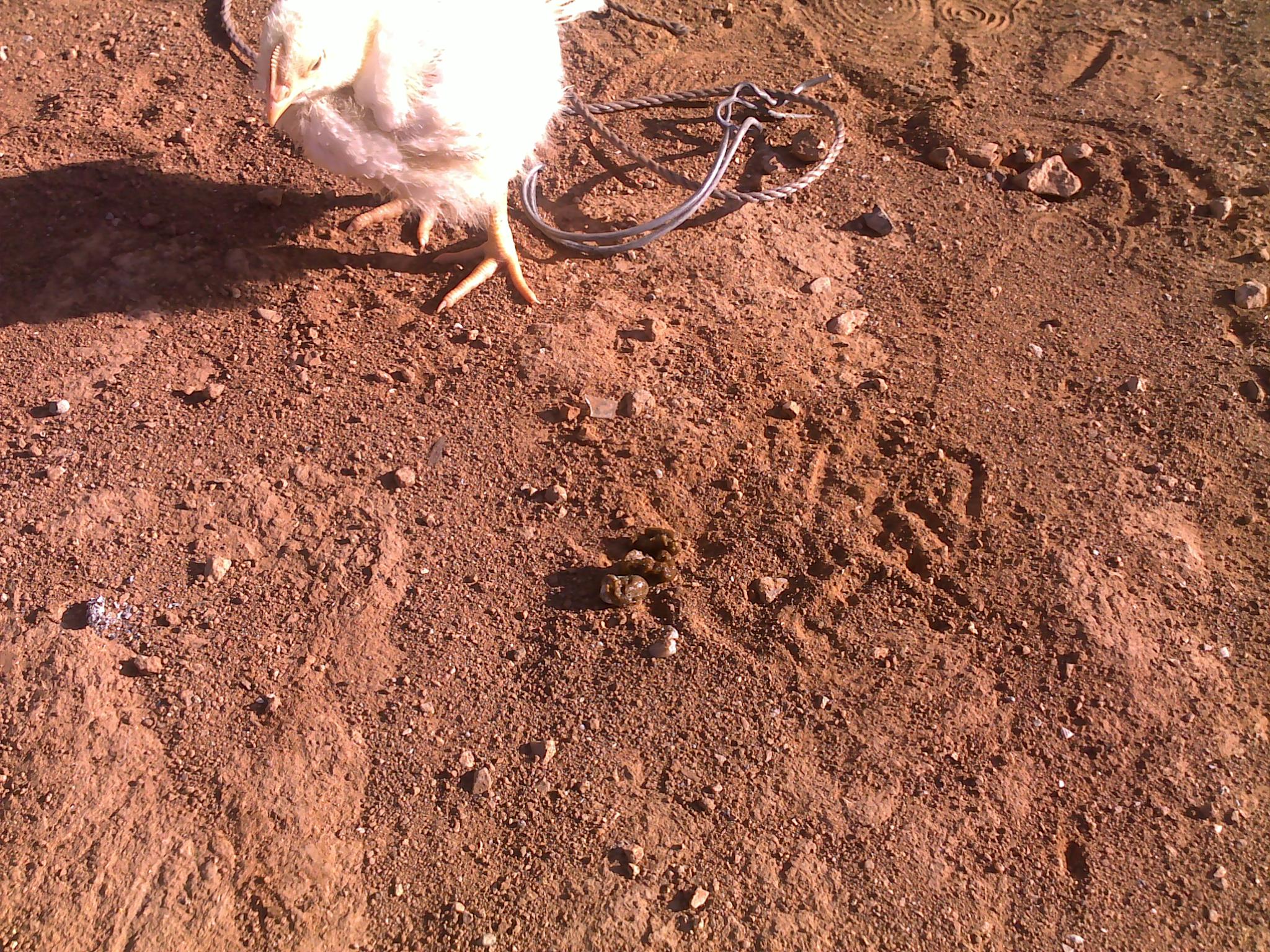 20120218091.jpg
