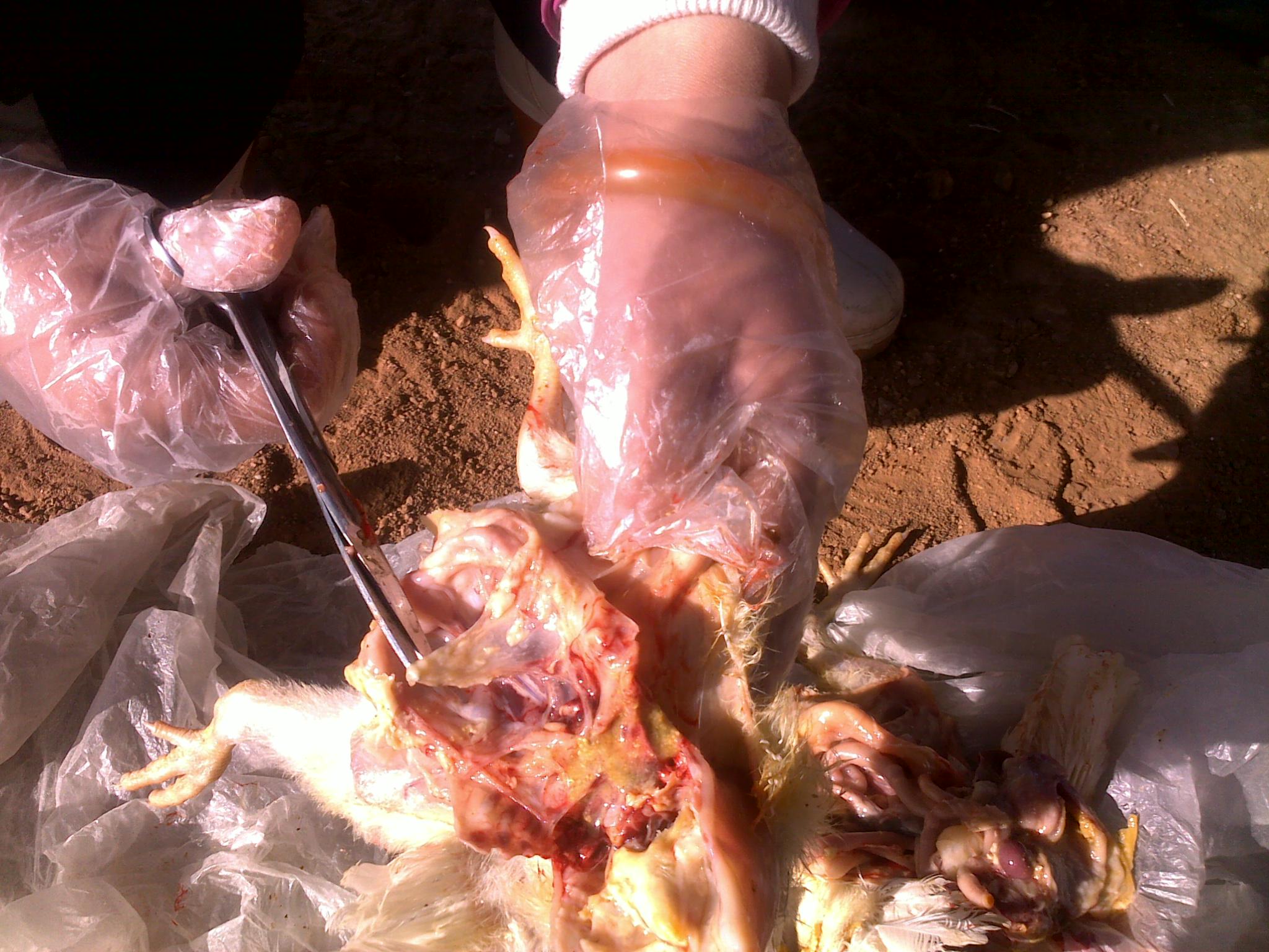 20120218099.jpg