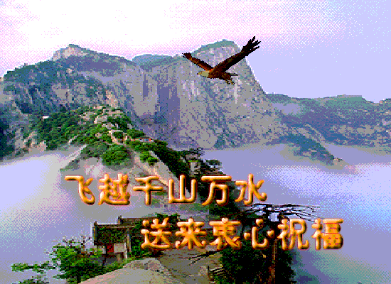 ף.gif