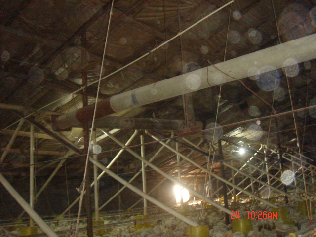 DSC07428.JPG
