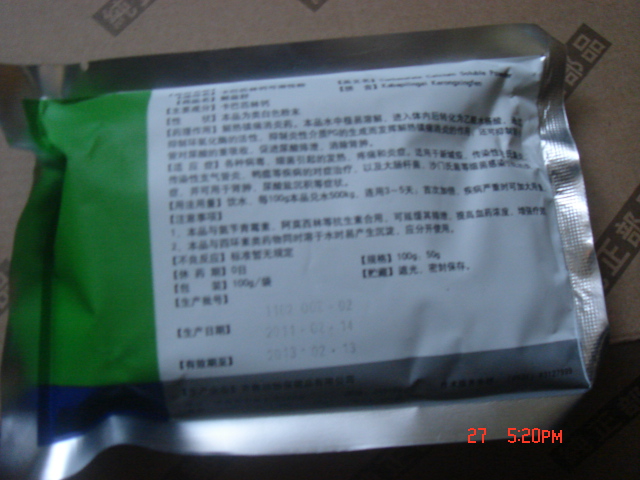 DSC07474.JPG