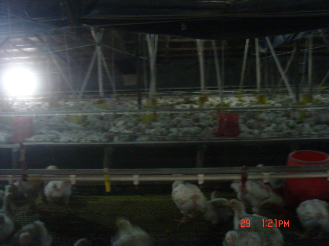DSC07479.JPG