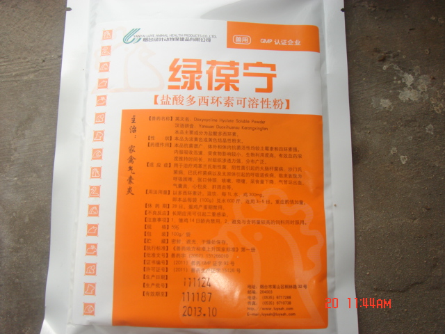 DSC07081.JPG