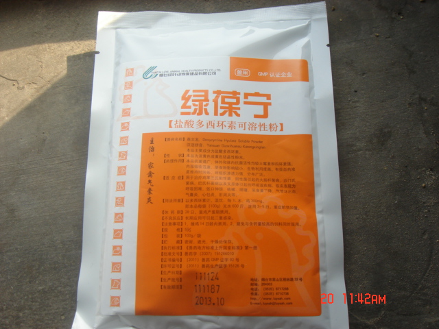DSC07077.JPG