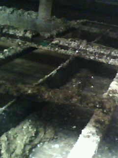 IMG0064A.jpg