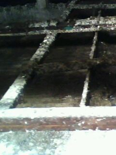 IMG0063A.jpg