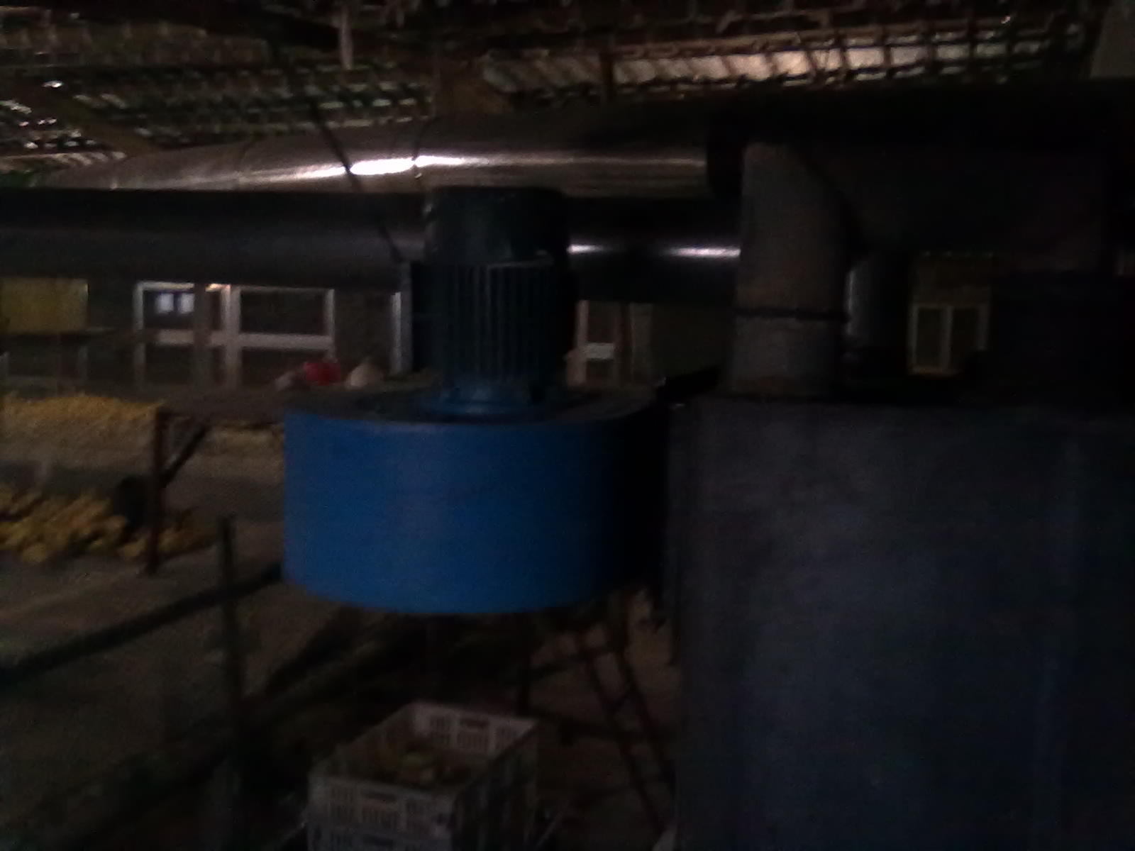 20120118025.jpg