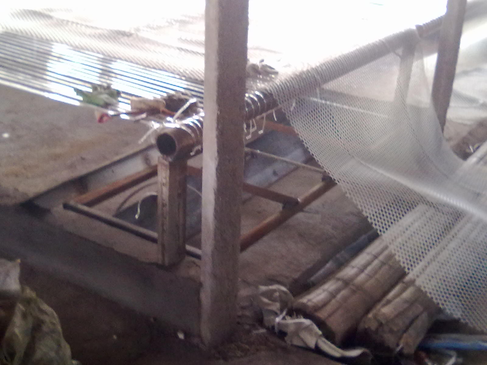 20120107015.jpg