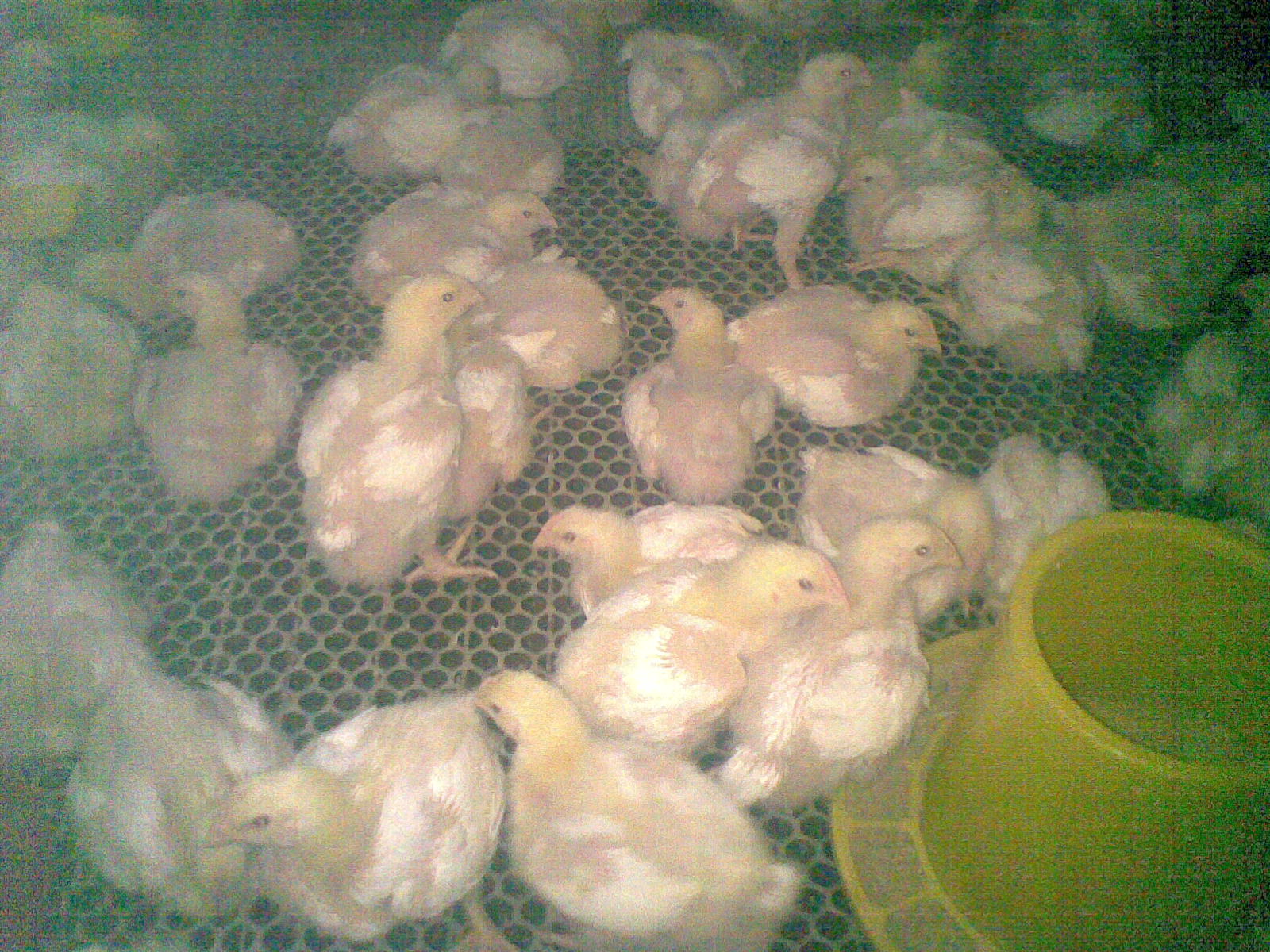20120225.jpg