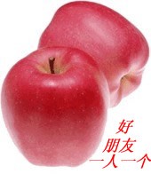 53.jpg