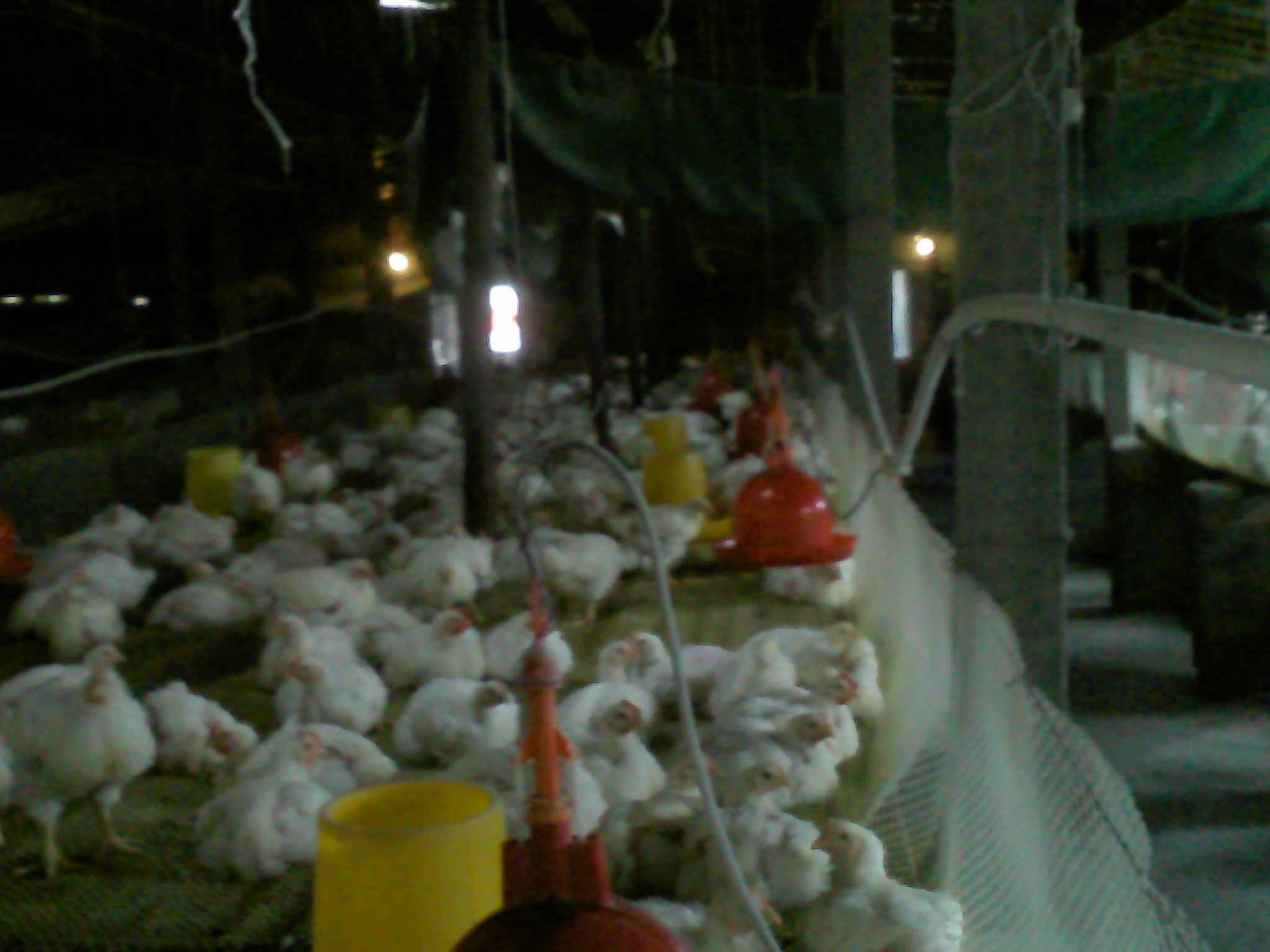 20120321_005.jpg