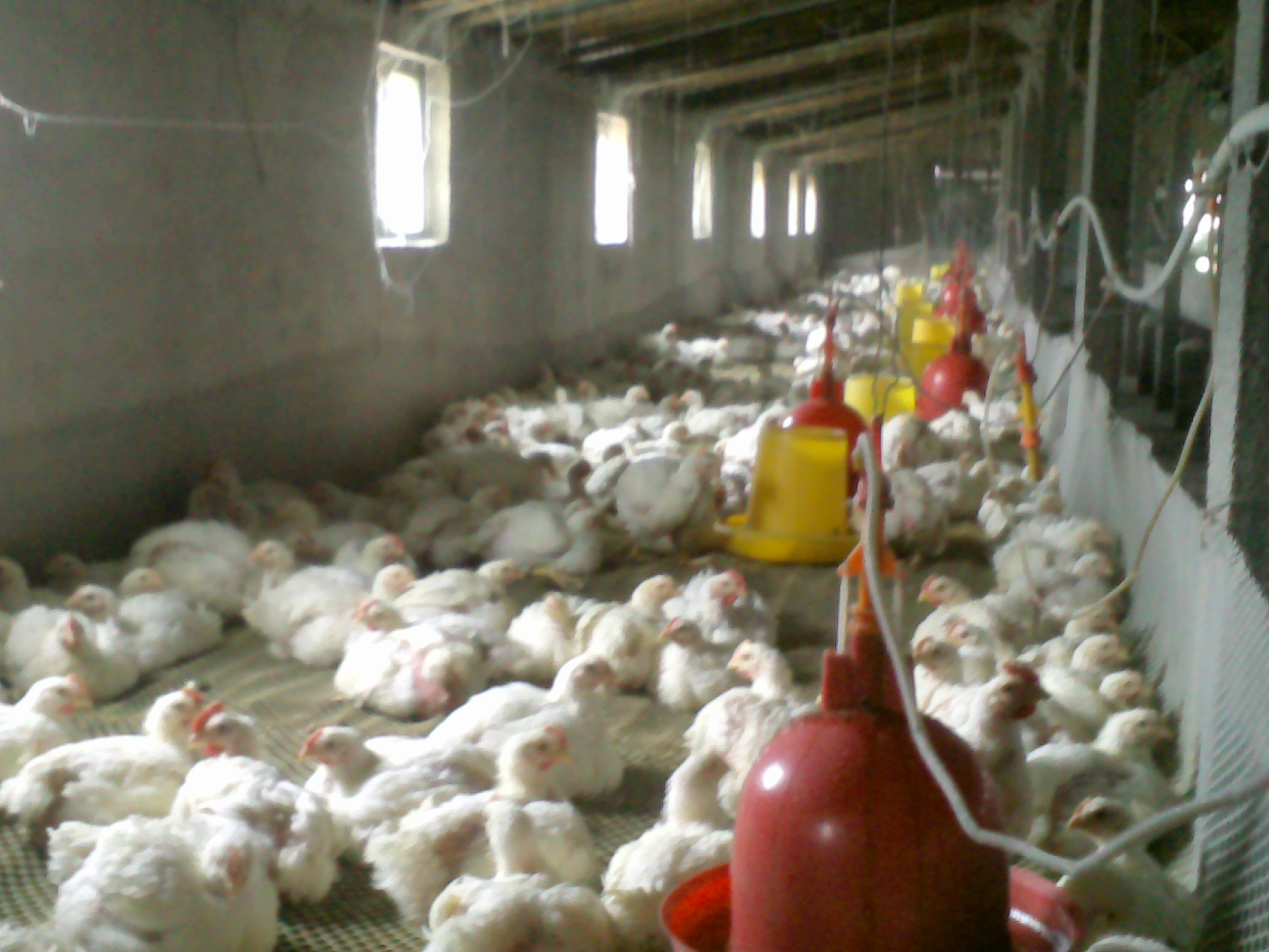 20120321_006.jpg
