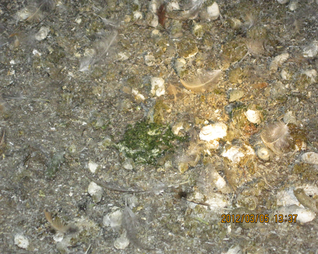 IMG_0767_.jpg