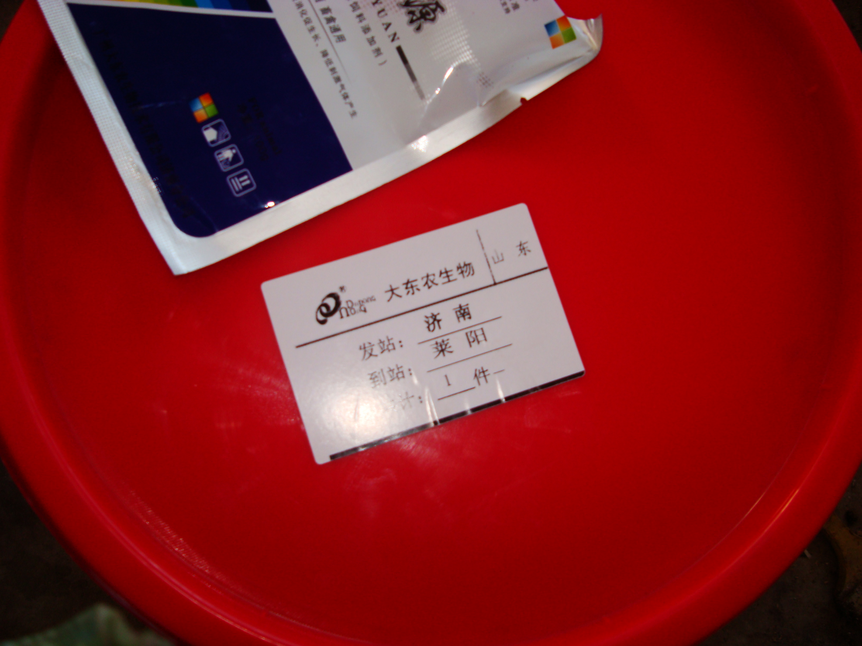 DSC03161.JPG