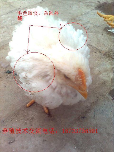 5.JPG