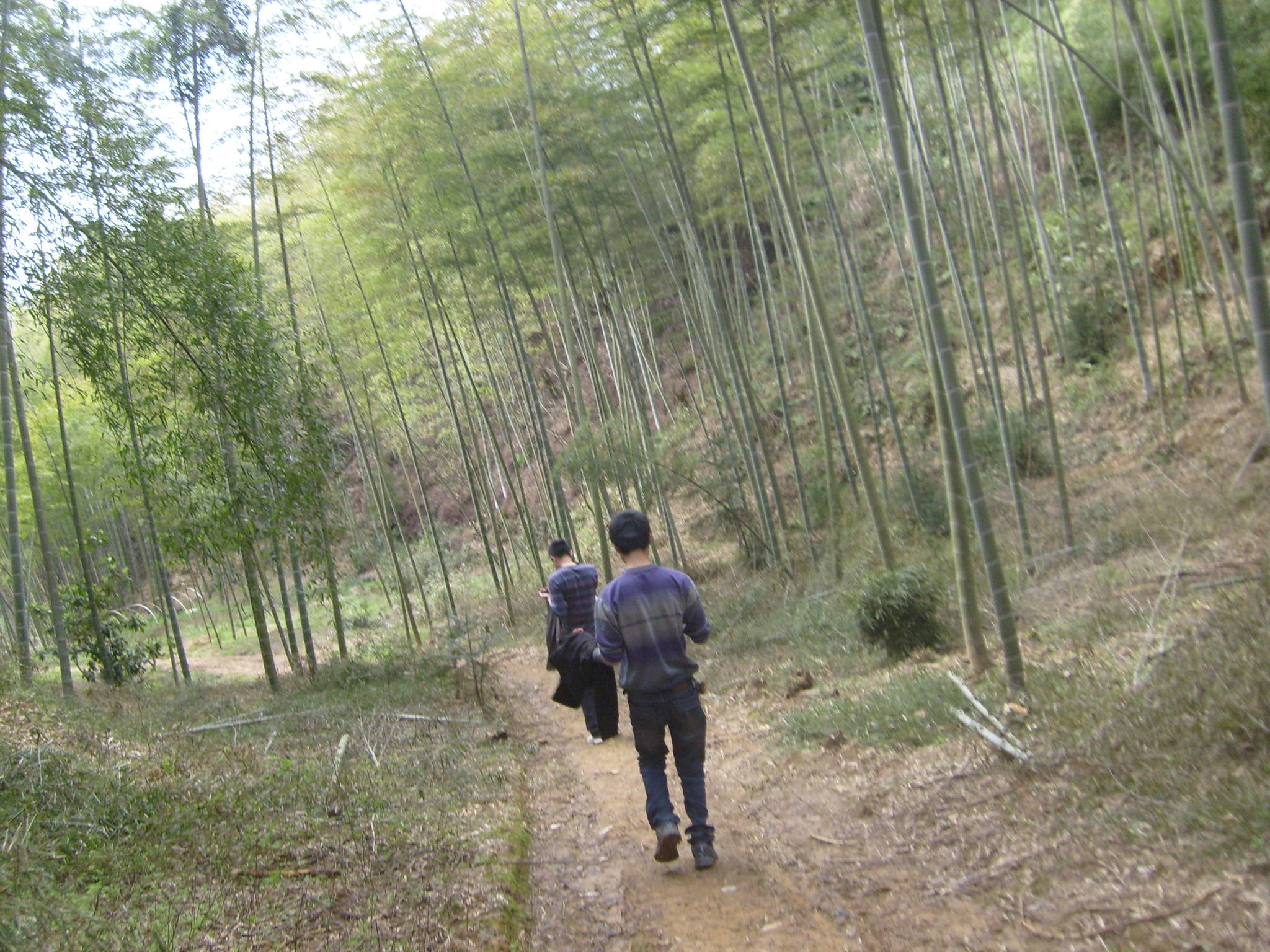 S6300029.JPG