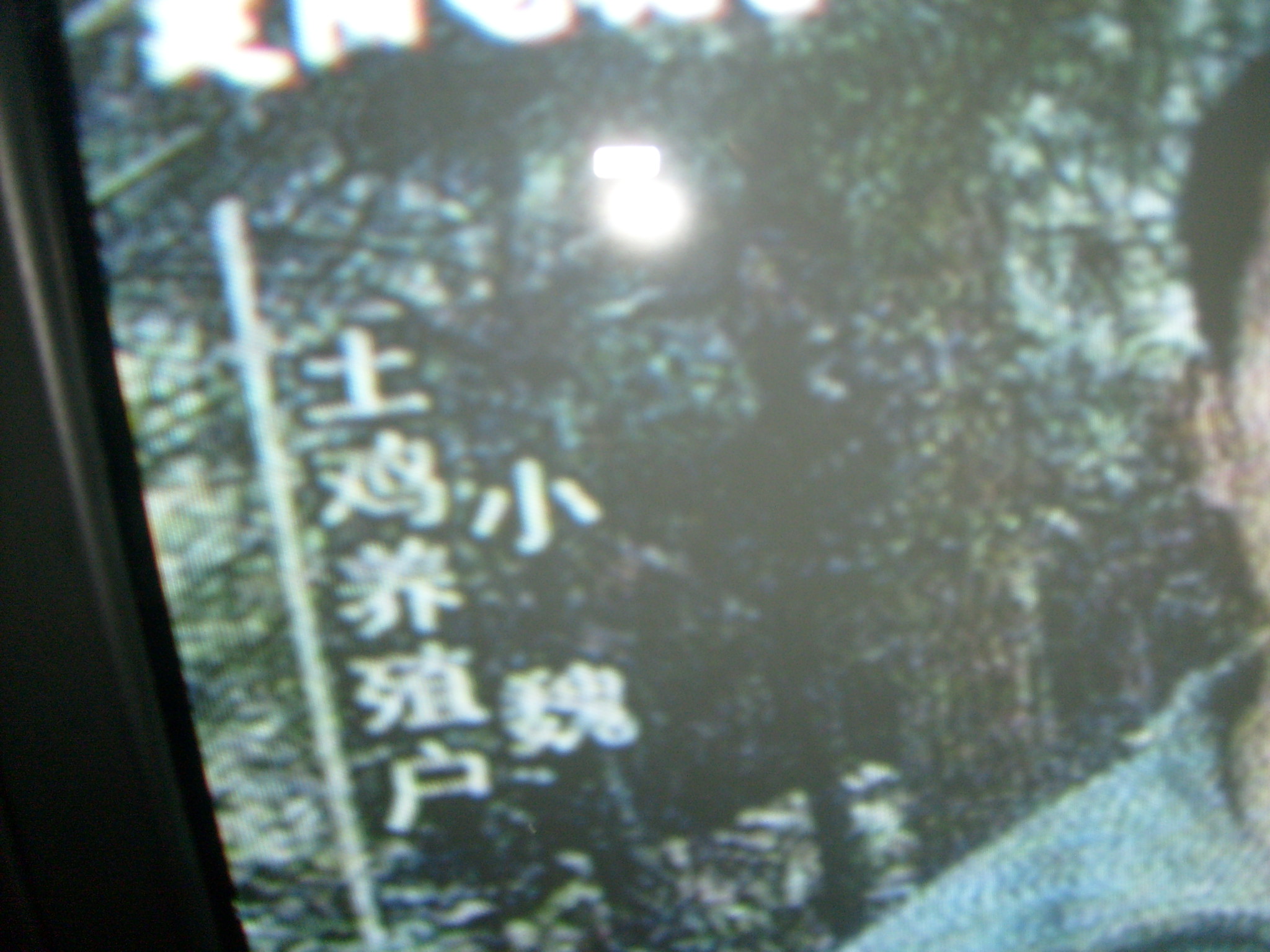 S6300022.JPG