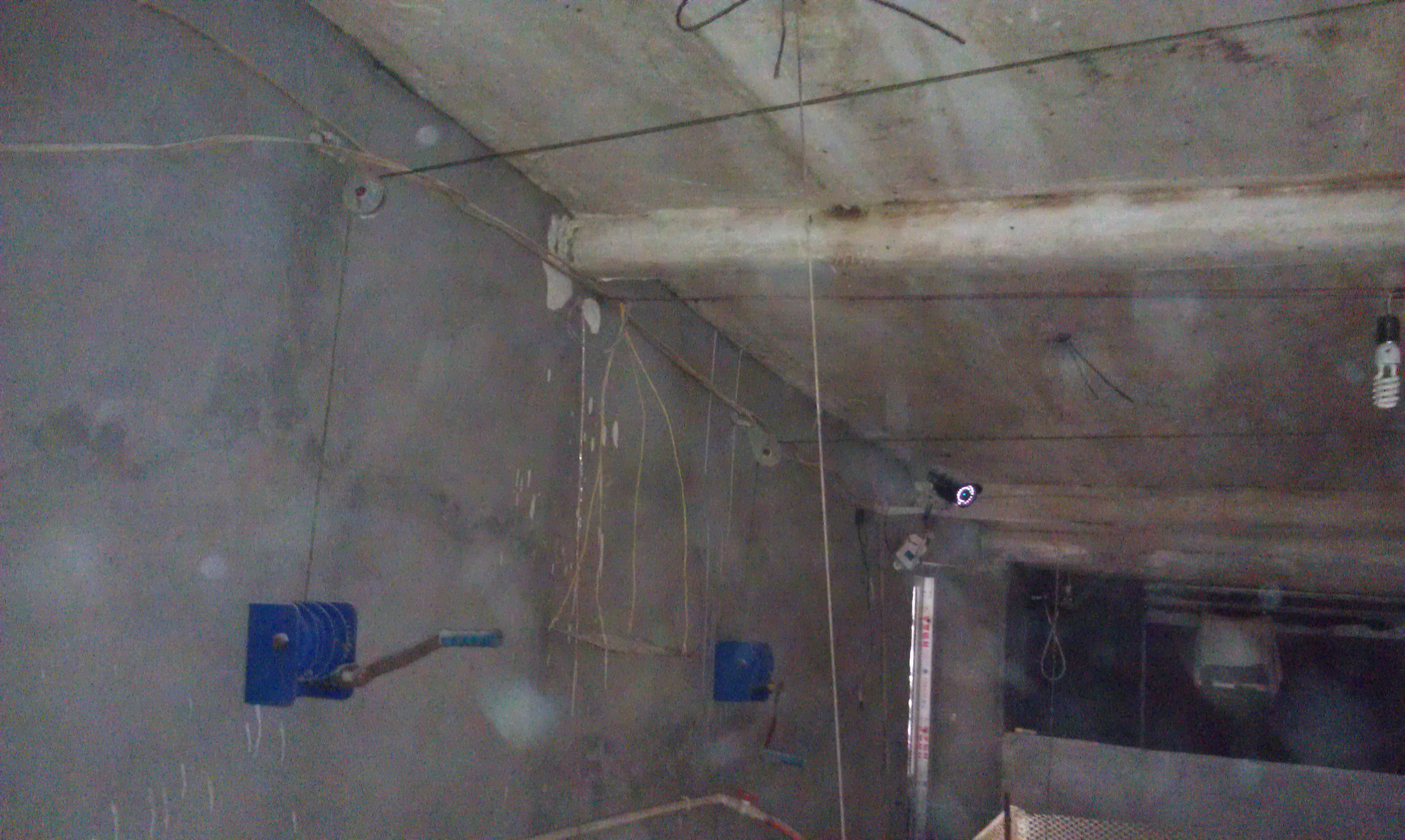 IMAG0098.jpg
