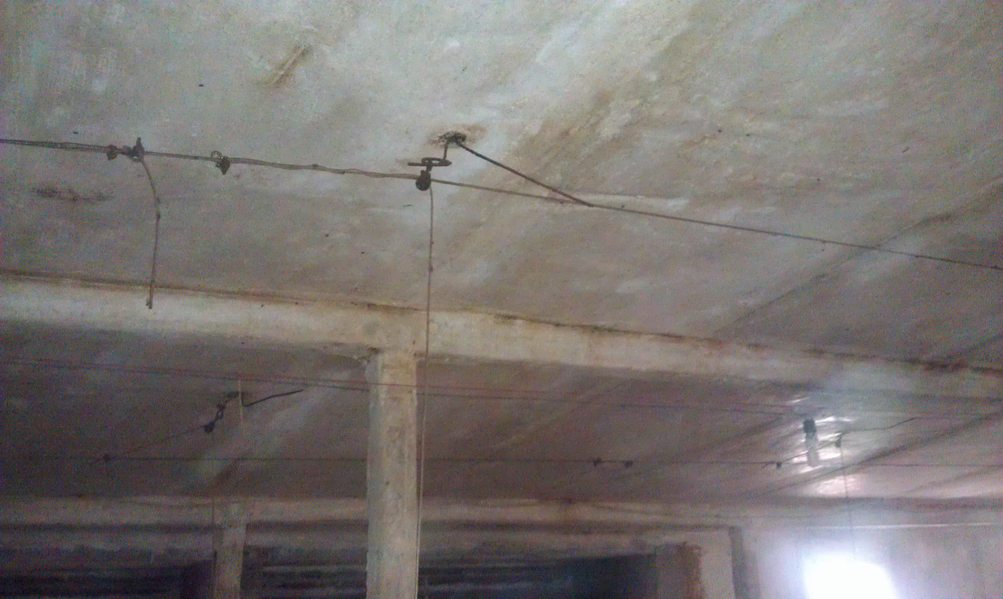 IMAG0100.jpg