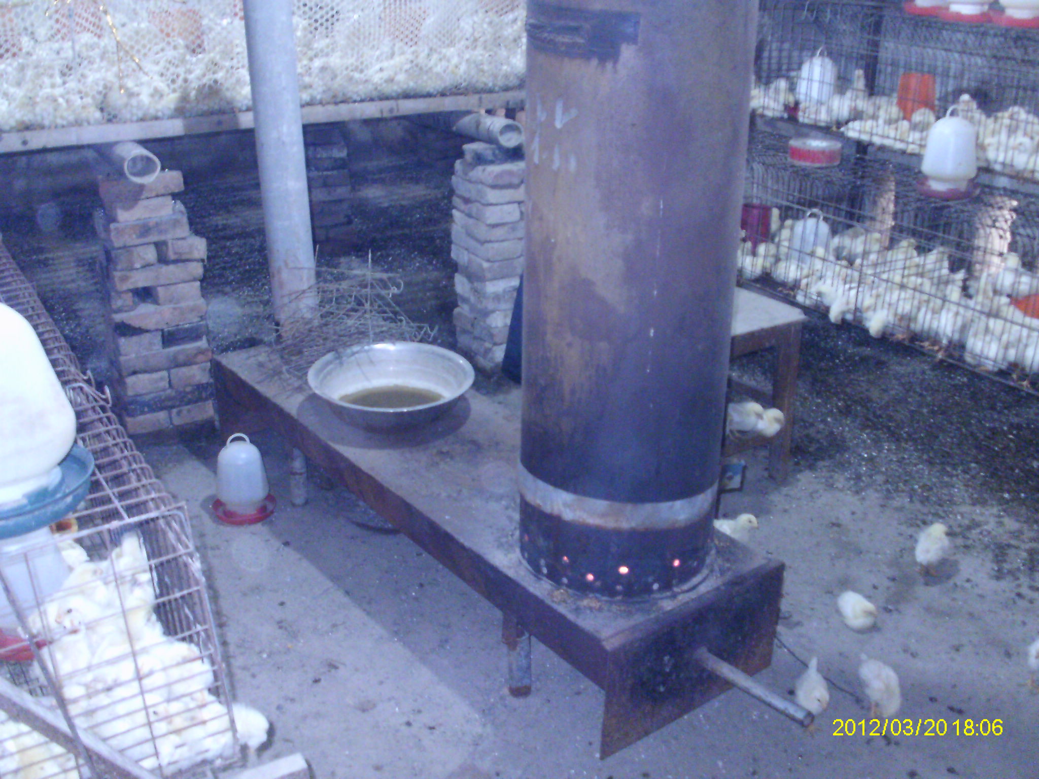 IMAG0064.JPG